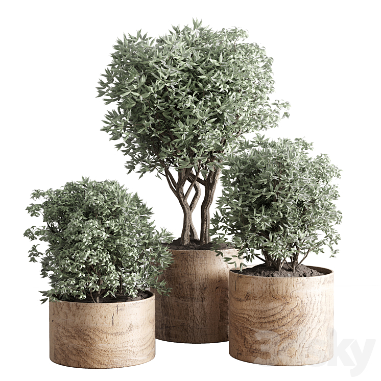 COLLECTION INDOOR PLANT 42 WOOD VASE 
