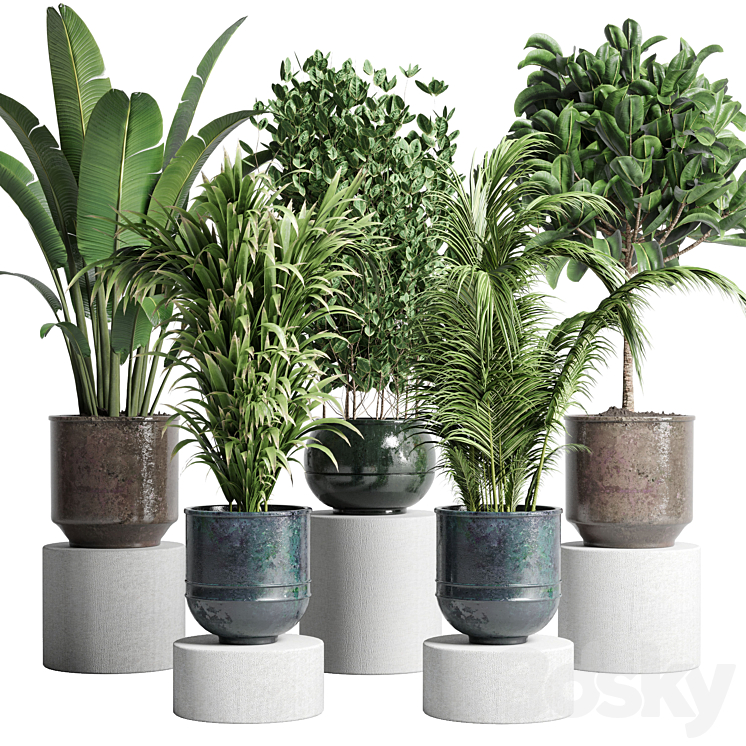 COLLECTION_INDOOR_PLANT_115_METAL_DIRT_OLD_VASE_HANDMADE_POT_PLANT 