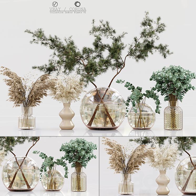COLLECTION INDOOR PLANTS 01 