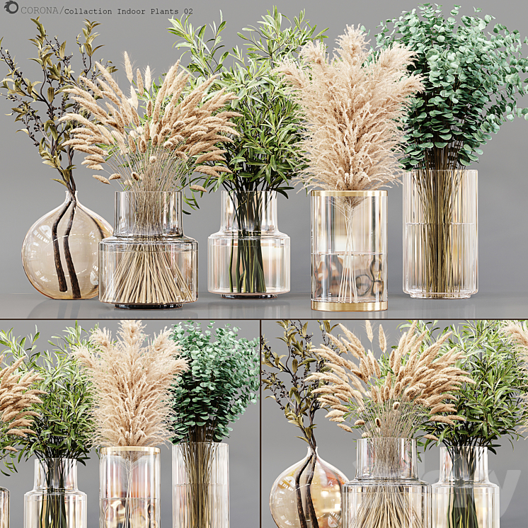 COLLECTION INDOOR PLANTS 02 