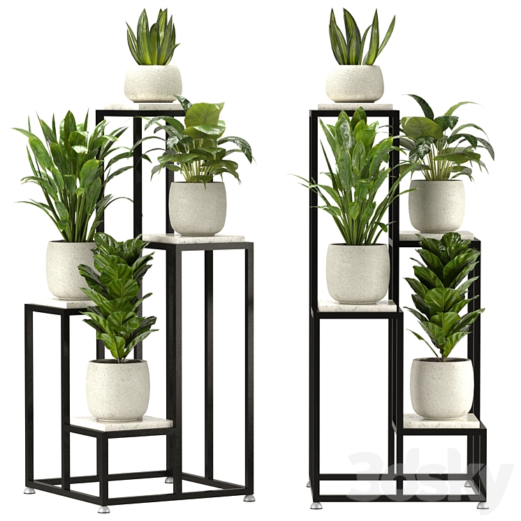 COLLECTION INDOOR PLANTS SET NIM08 