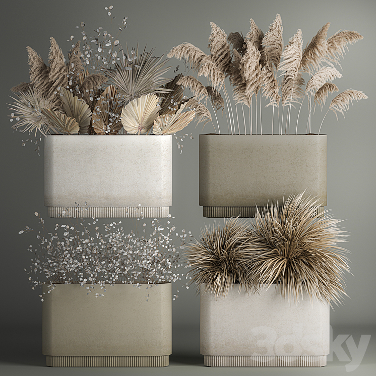 COLLECTION_OF_PLANT_BOUQUETS_OF_DRIED_FLOWERS_MOONFLOWER_DRY_PALM 