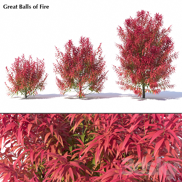 GREAT BALLS OF FIRE 
