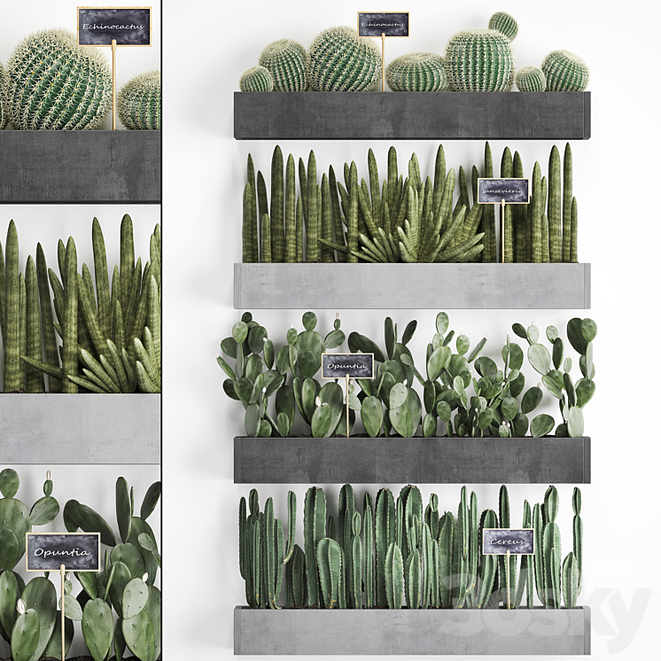 COLLECTION_OF_PLANTS_VERTICAL_GARDENING_IN_WOODEN_WALL_MOUNTED_BLACK 
