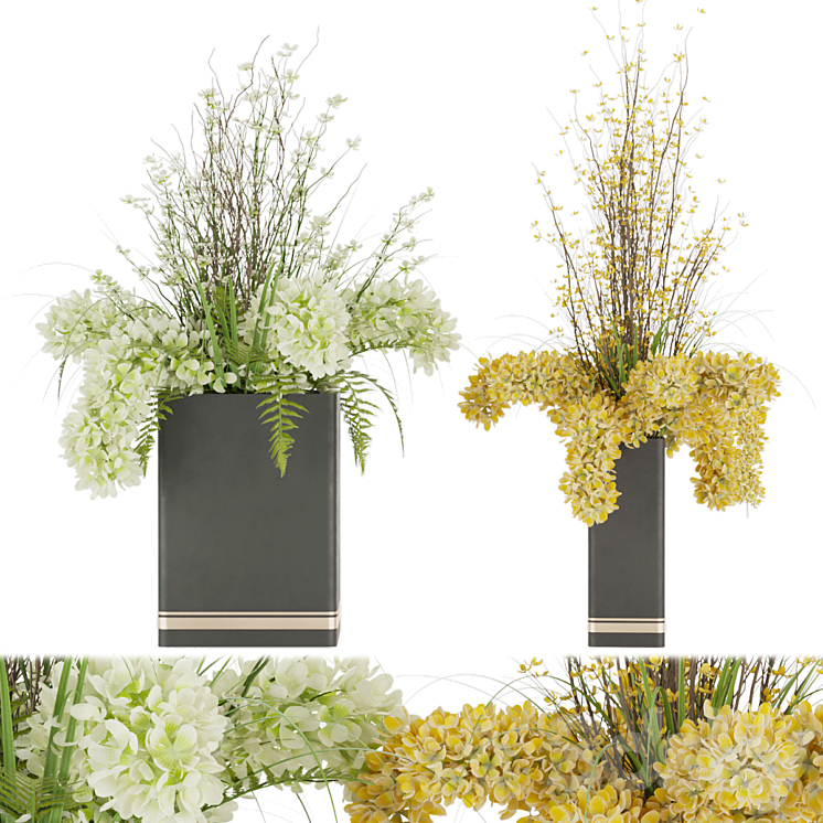 COLLECTION PLANT VOL 56 