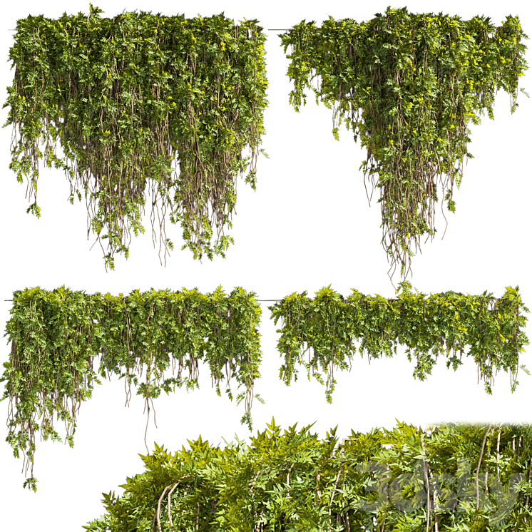 COLLECTION PLANT VOL 425 