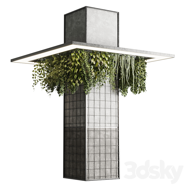COLUMN PLANT PILLAR PLANT 05 