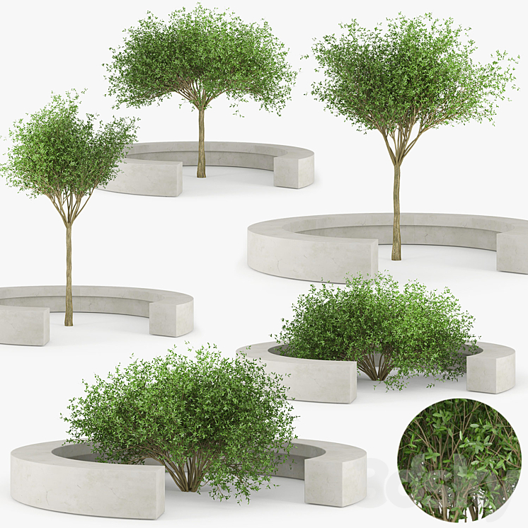 COMB VORA ARQUITECTURA TREE BENCH 