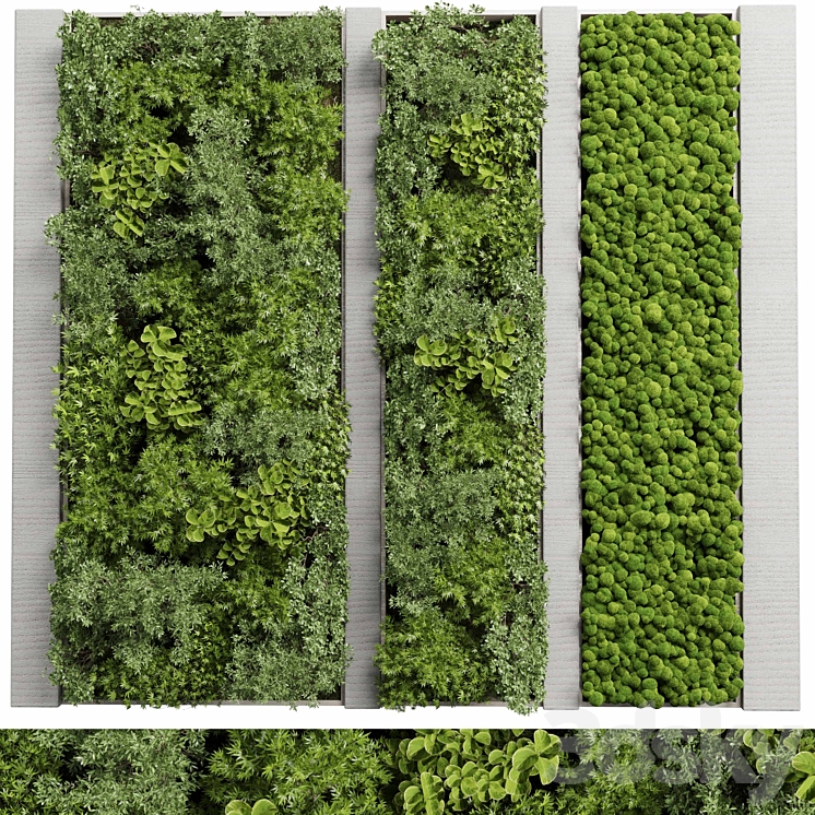 CONCRETE_FRAME_VERTICAL_GARDEN_PLANT_AND_MOSS_GARDEN_WALL_DECOR 