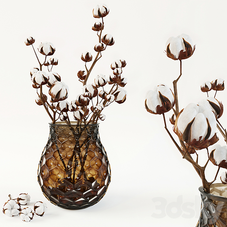 COTTON IN A VASE 