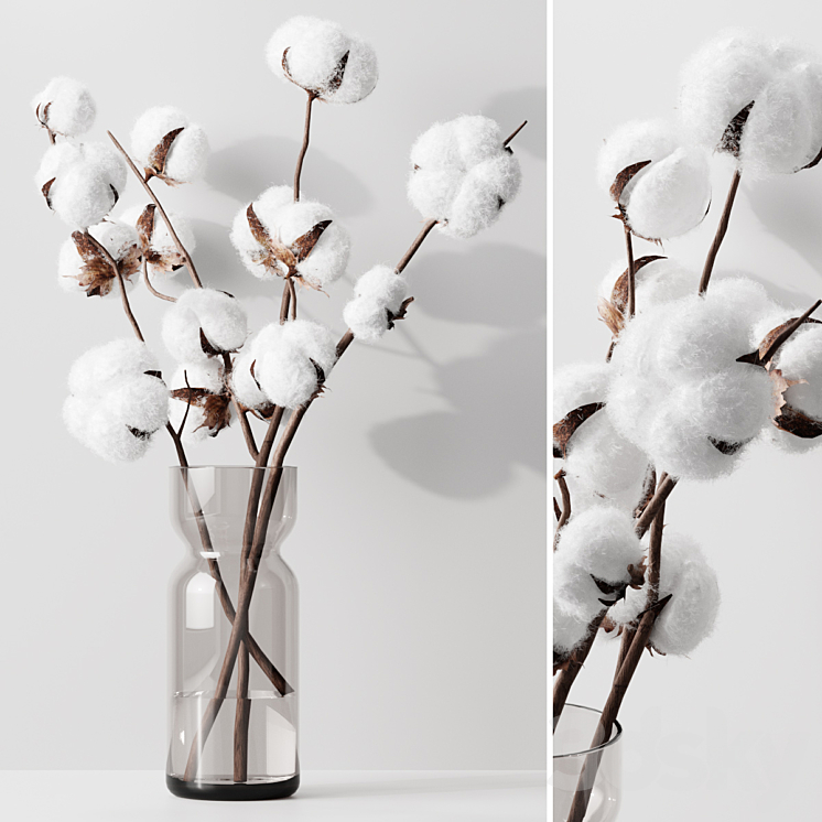 COTTON 