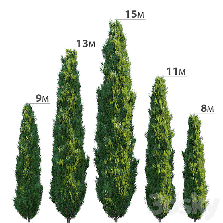 CYPRESS 
