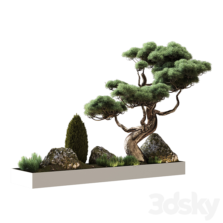 DECOR WITH VRAY PINE 