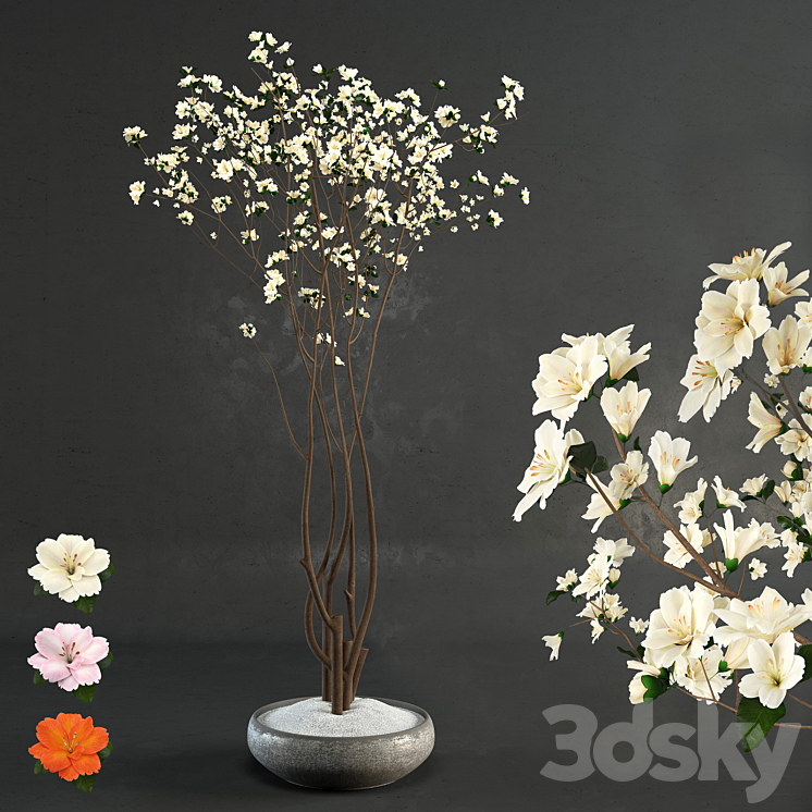 DECORATIVE WOOD 
