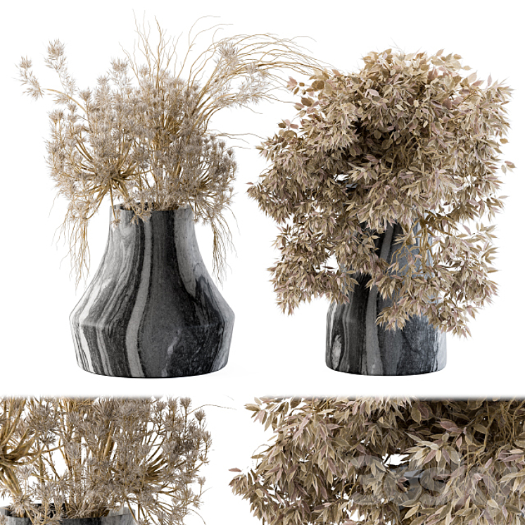 DRY PLANTS 14 