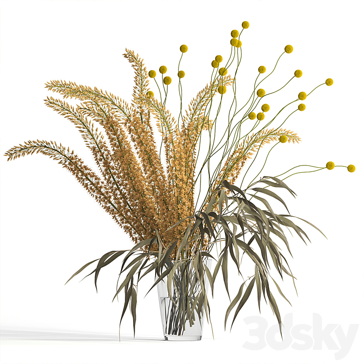 EREMURUS EUCALYPTUS CRASPEDIA BOUQUET 