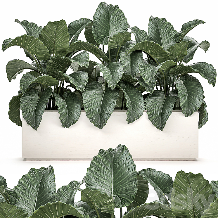 EXOTIC_DECORATIVE_LUSH_THICKETS_OF_ALCHEMY_BUSHES_IN_A_WHITE_POT 