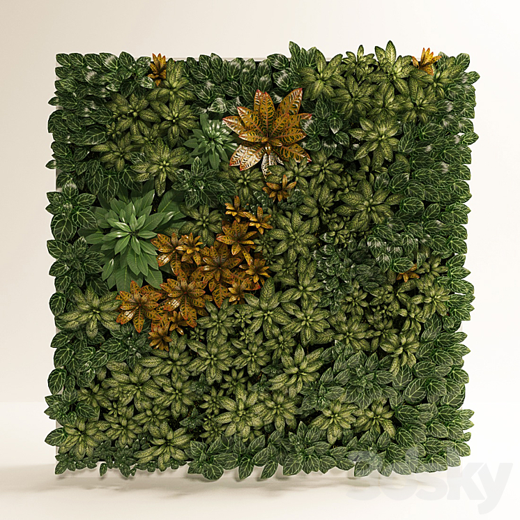 FITOSTENA FITOMODUL OF TROPICAL PLANTS 