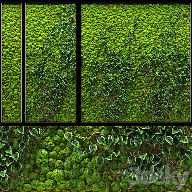 FITOWALL 