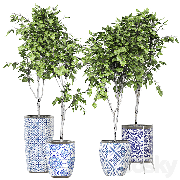FLOWER PACK 147 
