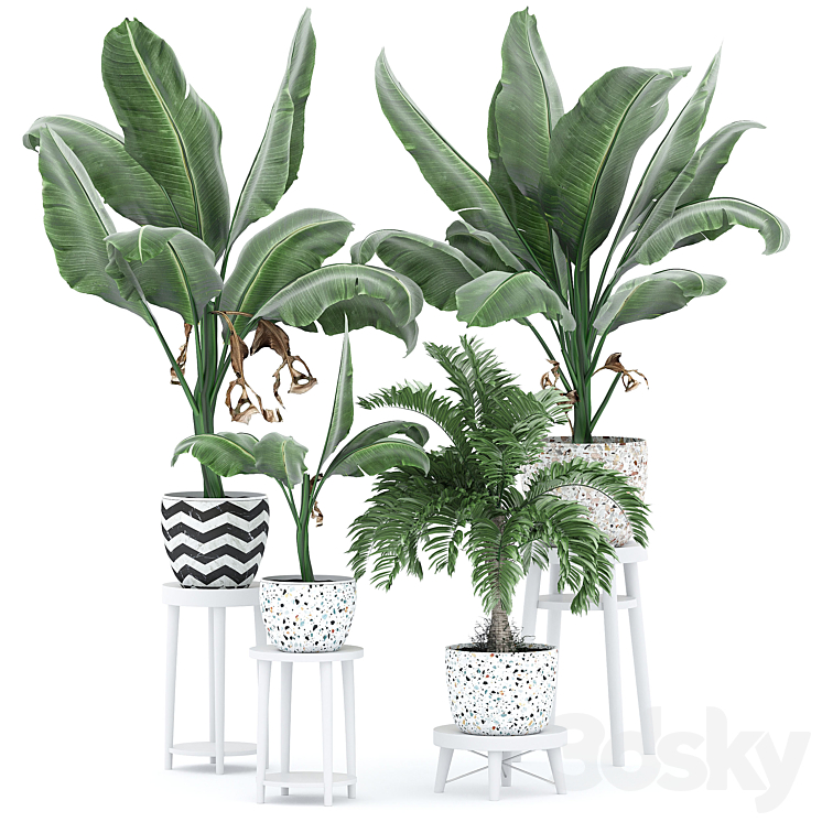 FLOWER PACK 231С 