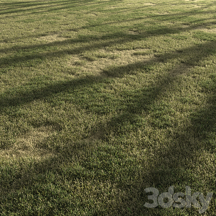 FOREST GRASS 3 