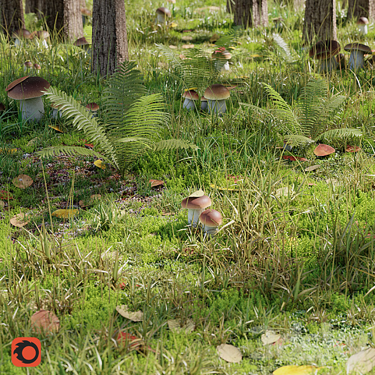 FORESTRY SET 