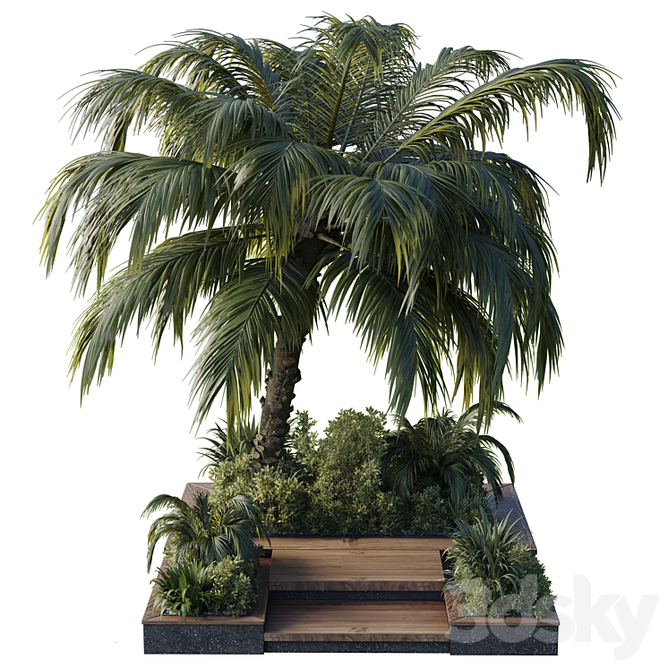GARDEN_POT_TREE_PALM_BUSH_FERN_GRASS_CONCRETE_BASE_COLLECTION_OUTDOOR 
