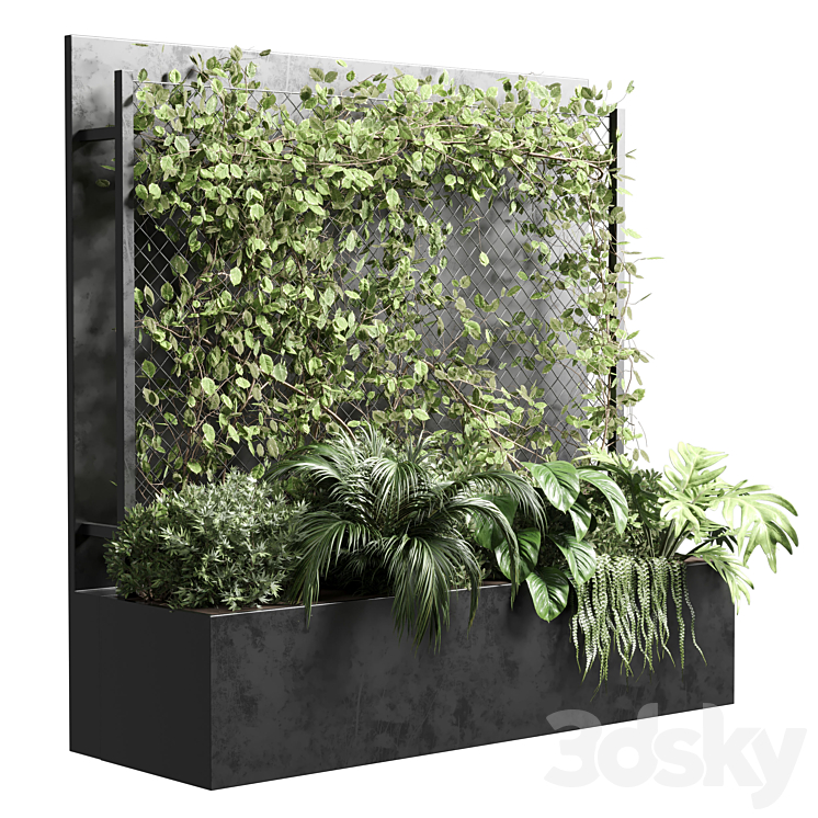 IVY ON FENCE FITOWALL VERTICAL GARDEN BOX 01 