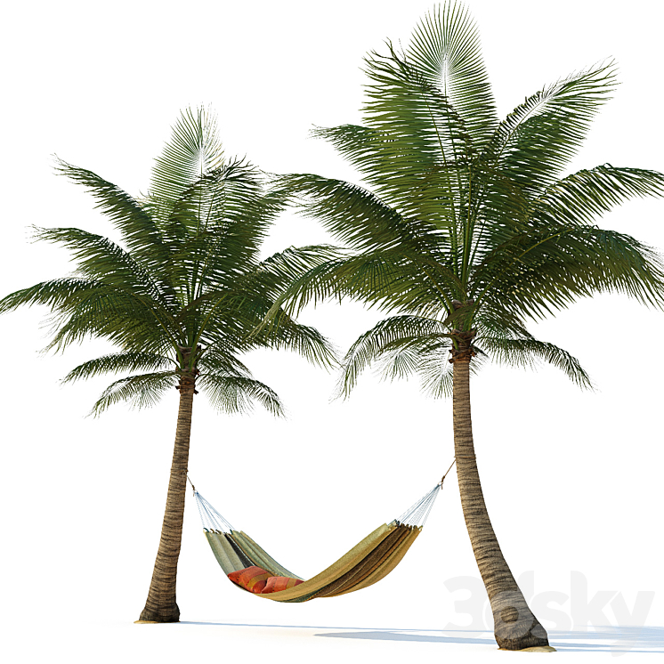 HAMMOCK ON PALM TREES 