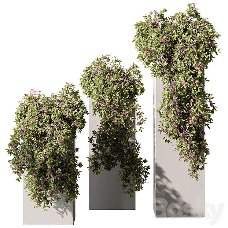 HANGING PLANT IN BOX OUTDOOR PLANTS 454 