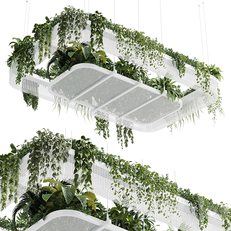 HANGING PLANTS INDOOR PLANT 323 VRAY 