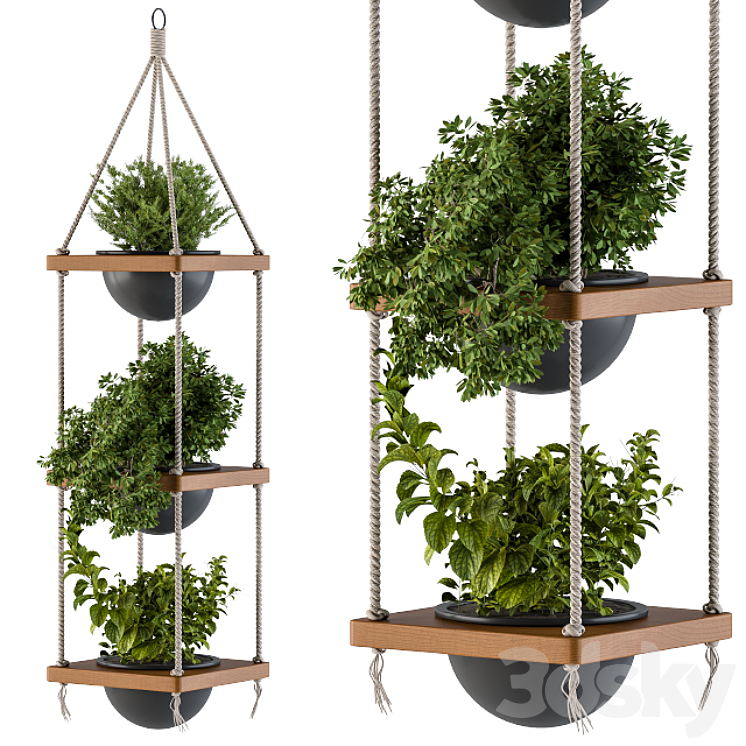 HANGING PLANTS ROPE AND WOOD 