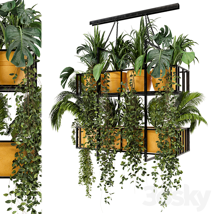 INDOOR HANGING PLANTS IN METAL BOX SET 103 