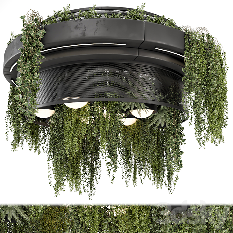 INDOOR HANGING PLANTS IN METAL BOX SET 1506 