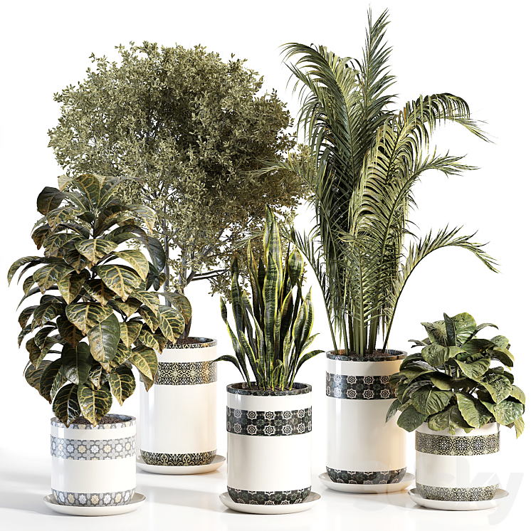 INDOOR PLANT 02 