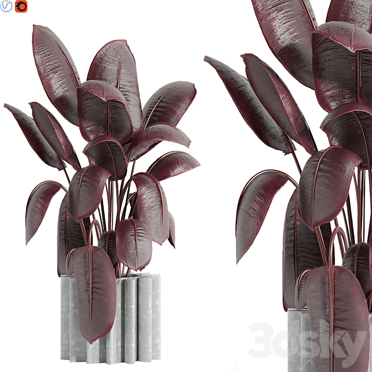 INDOOR PLANT 65 