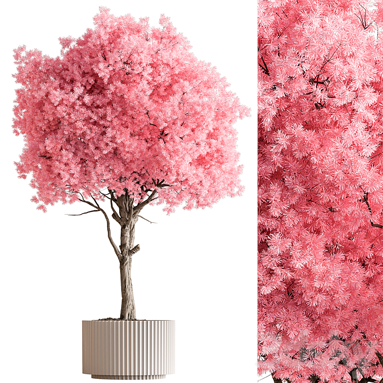 INDOOR PLANT 657 PINK TREE 