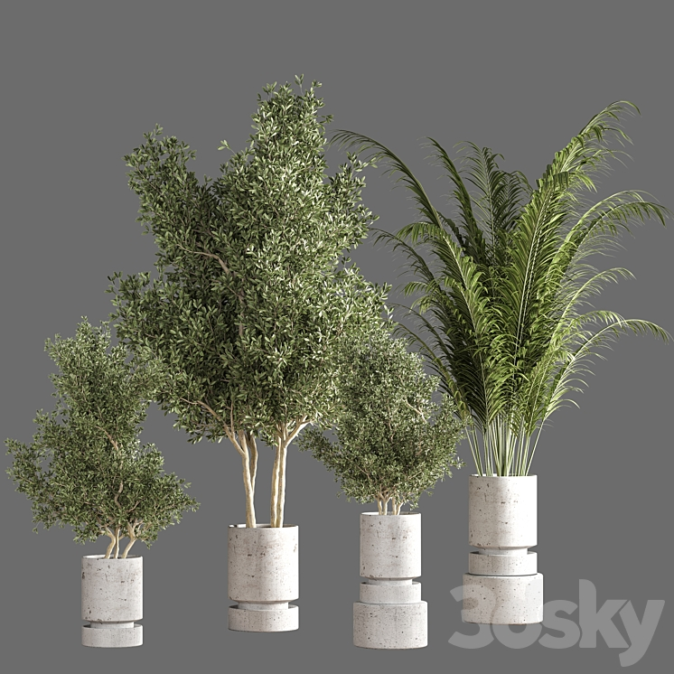 INDOOR PLANT SET 19 