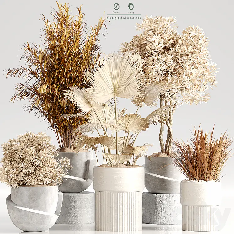 INDOOR PLANT SET 35 DRY PLANTS 