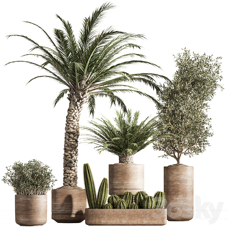 INDOOR PLANT SET 41 