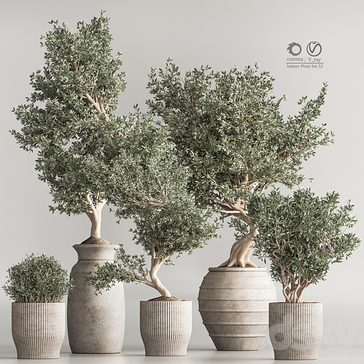INDOOR PLANT SET 53 