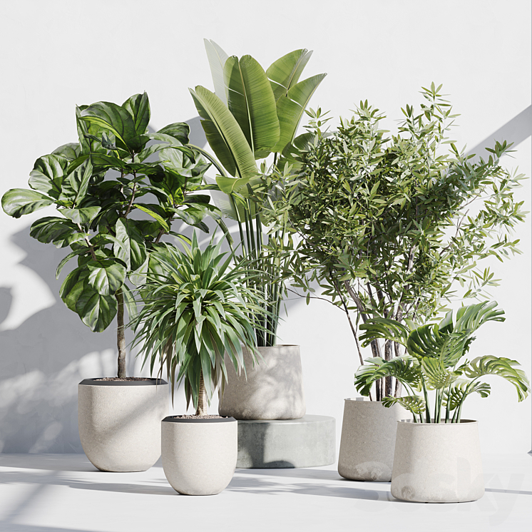 INDOOR PLANT SET 66 