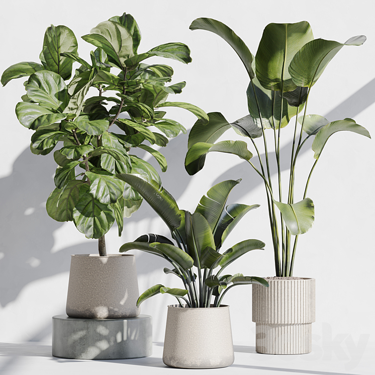 INDOOR PLANT SET 67 