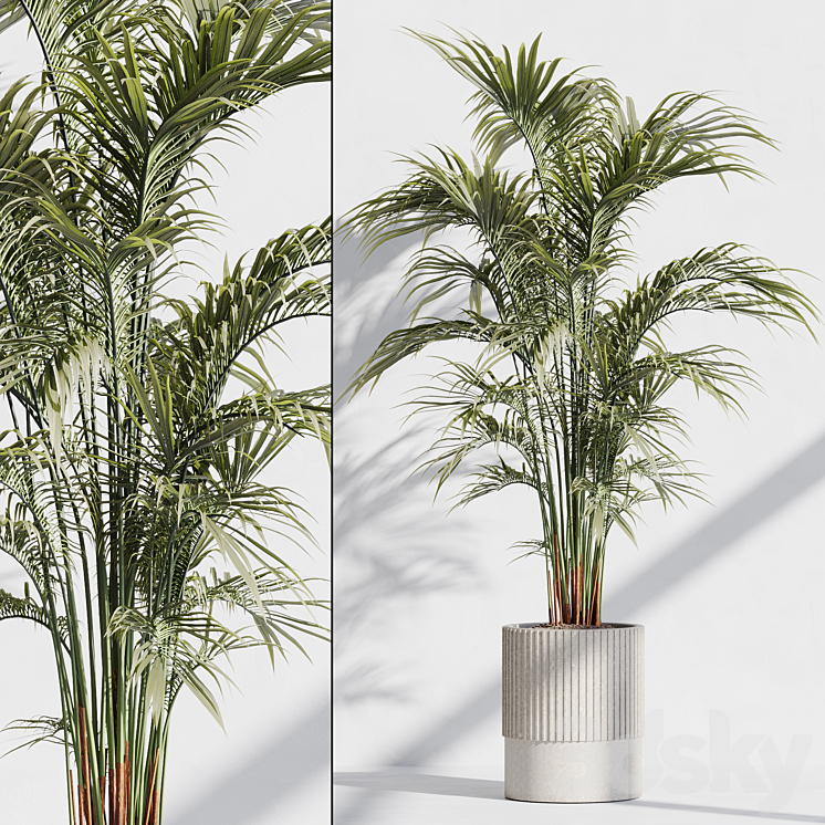 INDOOR PLANT SET 76 
