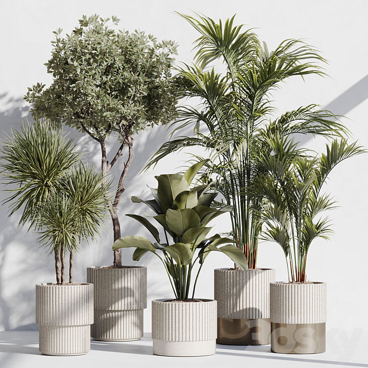 INDOOR PLANT SET 78 