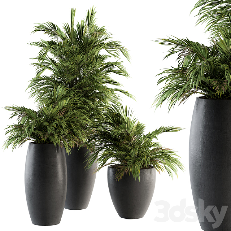 INDOOR PLANT SET 88 TROPICAL 