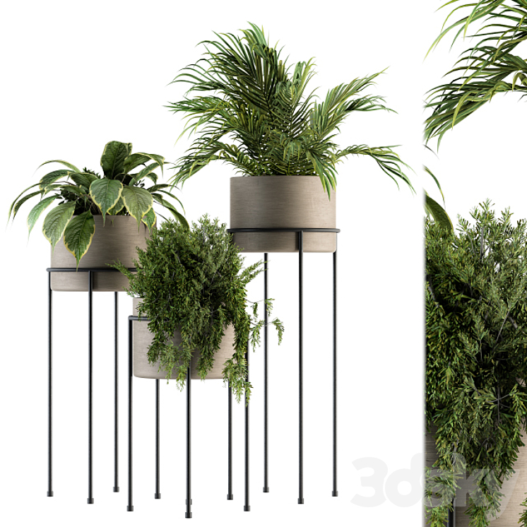 INDOOR PLANT SET 129 PLANT STAND 
