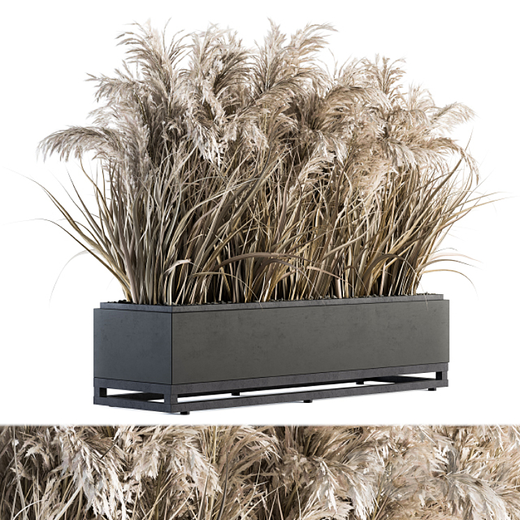 INDOOR PLANT SET 131 DRIED PLANT BOX 
