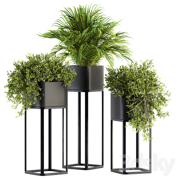 INDOOR PLANT SET 211 PLANT BOX STAND 